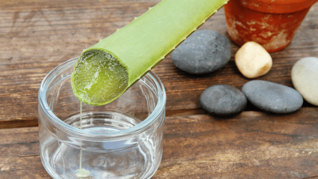 Use aloe Vera as a cooling balm