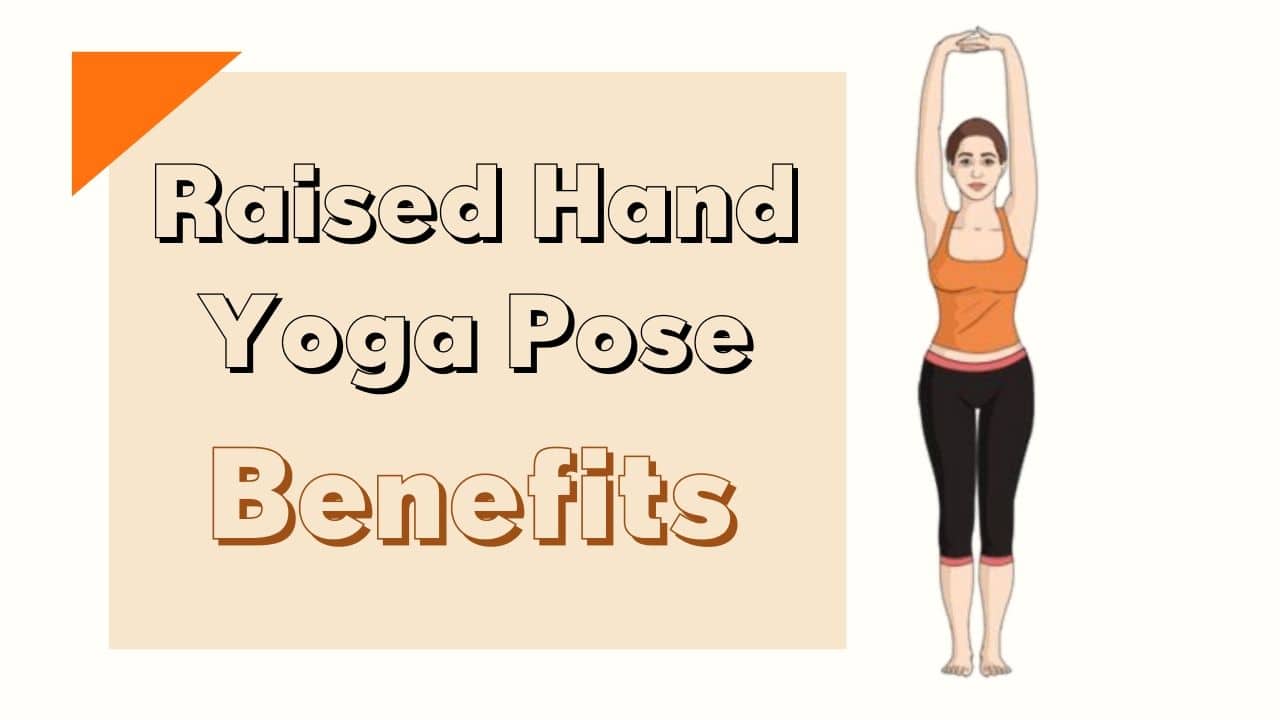 You are currently viewing Hands Raised Pose or Urdhava Hastaasana Benefits