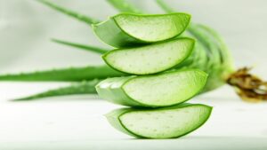 Benefits of Aloe vera for Hair in Hindi