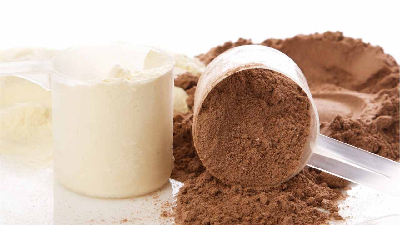17 Best Protein Powders to Curb Cravings and Help You Lose Weight